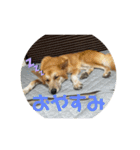 しぇびーの心（個別スタンプ：5）