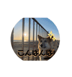 しぇびーの心（個別スタンプ：6）