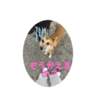 しぇびーの心（個別スタンプ：8）