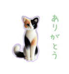 猫tan お父さん・お母さんから 安心返信（個別スタンプ：3）