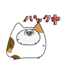 ふくねこ～福をよぶネコたち～（個別スタンプ：11）