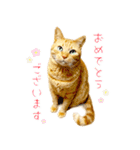 茶トラ 猫 敬語 あいさつ スタンプ（個別スタンプ：19）