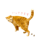 茶トラ 猫 敬語 あいさつ スタンプ（個別スタンプ：22）