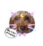挨拶❤クレオ君とマリーちゃん（個別スタンプ：12）