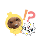 挨拶❤クレオ君とマリーちゃん（個別スタンプ：14）