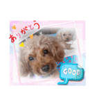 挨拶❤クレオ君とマリーちゃん（個別スタンプ：16）