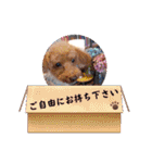 挨拶❤クレオ君とマリーちゃん（個別スタンプ：21）