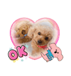 挨拶❤クレオ君とマリーちゃん（個別スタンプ：36）