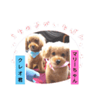 挨拶❤クレオ君とマリーちゃん（個別スタンプ：40）