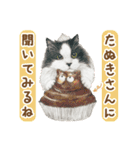 ほっこり猫と食べ物11(修正版）（個別スタンプ：12）