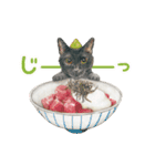 ほっこり猫と食べ物11(修正版）（個別スタンプ：16）