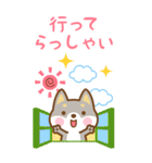 BIG 見やすい柴犬さんたちのスタンプ（個別スタンプ：11）