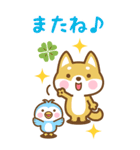 BIG 見やすい柴犬さんたちのスタンプ（個別スタンプ：40）