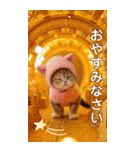 幸運のゴールド子猫 ずっと使える BIG 敬語（個別スタンプ：24）