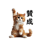 猫会議☆可愛い猫ちゃんが話し合っています（個別スタンプ：1）