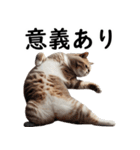 猫会議☆可愛い猫ちゃんが話し合っています（個別スタンプ：3）