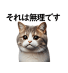 猫会議☆可愛い猫ちゃんが話し合っています（個別スタンプ：5）