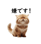 猫会議☆可愛い猫ちゃんが話し合っています（個別スタンプ：6）