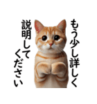 猫会議☆可愛い猫ちゃんが話し合っています（個別スタンプ：7）