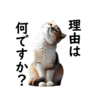 猫会議☆可愛い猫ちゃんが話し合っています（個別スタンプ：8）