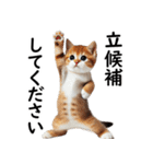 猫会議☆可愛い猫ちゃんが話し合っています（個別スタンプ：11）