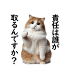 猫会議☆可愛い猫ちゃんが話し合っています（個別スタンプ：12）