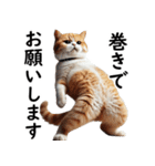 猫会議☆可愛い猫ちゃんが話し合っています（個別スタンプ：17）