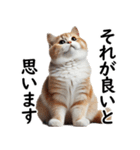 猫会議☆可愛い猫ちゃんが話し合っています（個別スタンプ：19）