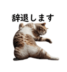 猫会議☆可愛い猫ちゃんが話し合っています（個別スタンプ：21）