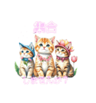 子猫 かわいい会話 あいさつ（個別スタンプ：13）