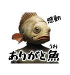 あいづち上手すぎFish(全ての会話に超便利)（個別スタンプ：3）