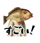 あいづち上手すぎFish(全ての会話に超便利)（個別スタンプ：38）