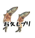 あいづち上手すぎFish(全ての会話に超便利)（個別スタンプ：39）