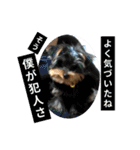 プリンスつなスタンプver.1（個別スタンプ：4）