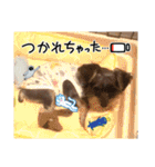 プリンスつなスタンプver.1（個別スタンプ：8）