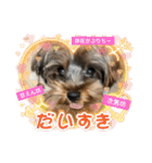 プリンスつなスタンプver.1（個別スタンプ：11）