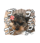 プリンスつなスタンプver.1（個別スタンプ：17）