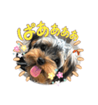 プリンスつなスタンプver.1（個別スタンプ：18）