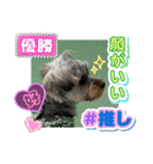 プリンスつなスタンプver.1（個別スタンプ：24）