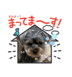 プリンスつなスタンプver.1（個別スタンプ：29）