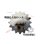 プリンスつなスタンプver.1（個別スタンプ：32）