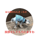 プリンスつなスタンプver.1（個別スタンプ：34）