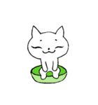 ねこちゃんスタンプ2文字なし（個別スタンプ：11）