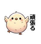 まるっこひよこの日常（個別スタンプ：12）