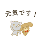 可愛い仔猫とトイプードル（個別スタンプ：13）