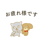 可愛い仔猫とトイプードル（個別スタンプ：14）