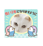 しろねこ兄妹（個別スタンプ：3）