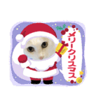 しろねこ兄妹（個別スタンプ：7）