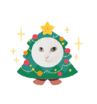 しろねこ兄妹（個別スタンプ：24）