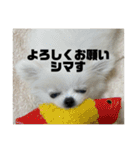 しまうにスタンプ バージョン2（個別スタンプ：3）